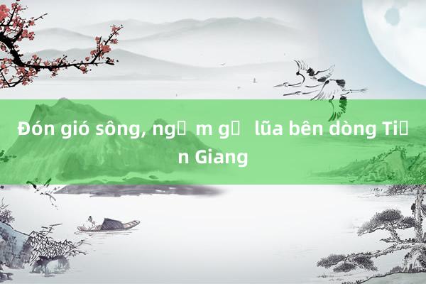 Đón gió sông， ngắm gỗ lũa bên dòng Tiền Giang