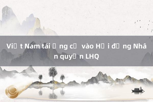 Việt Nam tái ứng cử vào Hội đồng Nhân quyền LHQ