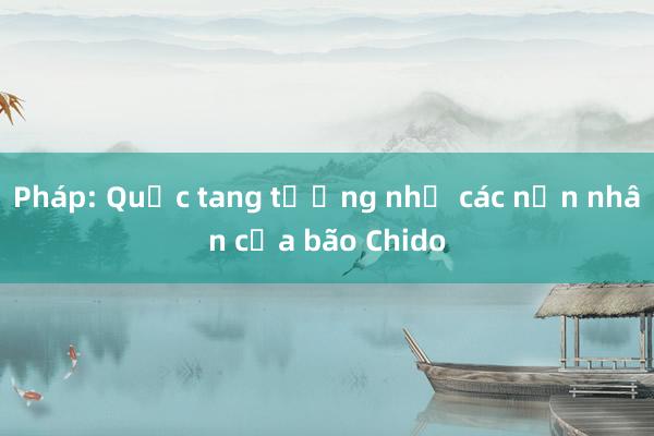 Pháp: Quốc tang tưởng nhớ các nạn nhân của bão Chido