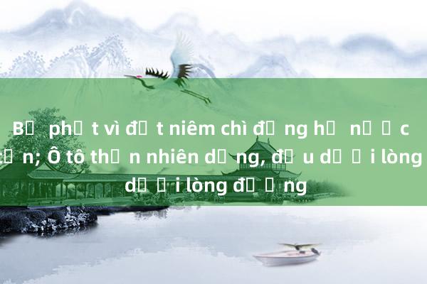 Bị phạt vì đứt niêm chì đồng hồ nước do chó cắn; Ô tô thản nhiên dừng, đậu dưới lòng đường