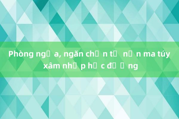 Phòng ngừa, ngăn chặn tệ nạn ma túy xâm nhập học đường