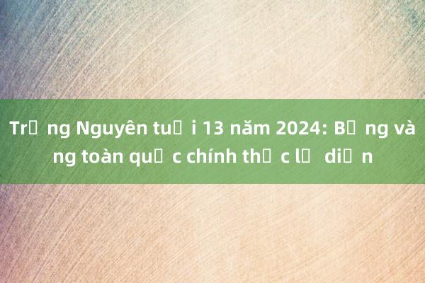 Trạng Nguyên tuổi 13 năm 2024: Bảng vàng toàn quốc chính thức lộ diện