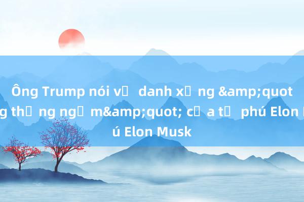 Ông Trump nói về danh xưng &quot;tổng thống ngầm&quot; của tỷ phú Elon Musk