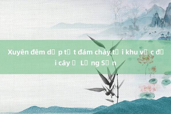 Xuyên đêm dập tắt đám cháy tại khu vực đồi cây ở Lạng Sơn